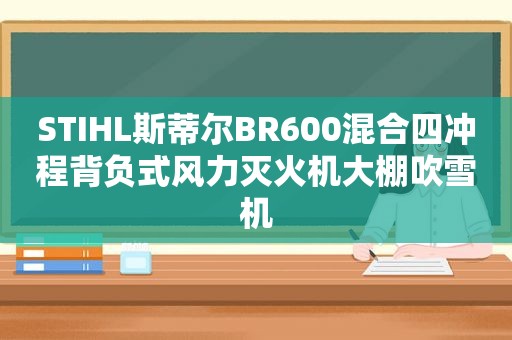 STIHL斯蒂尔BR600混合四冲程背负式风力灭火机大棚吹雪机