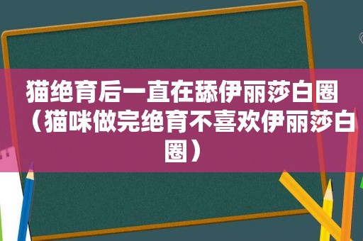 猫绝育后一直在舔伊丽莎白圈（猫咪做完绝育不喜欢伊丽莎白圈）