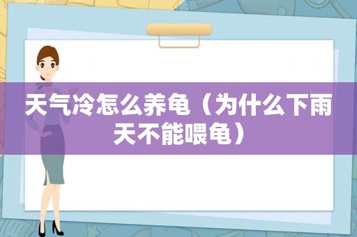 天气冷怎么养龟（为什么下雨天不能喂龟）