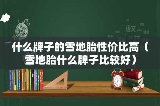 什么牌子的雪地胎性价比高（雪地胎什么牌子比较好）