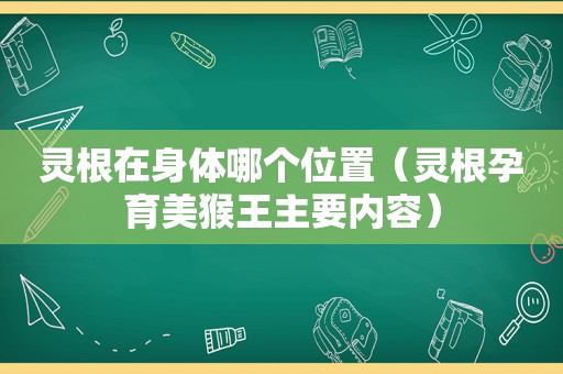 灵根在身体哪个位置（灵根孕育美猴王主要内容）