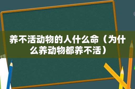 养不活动物的人什么命（为什么养动物都养不活）