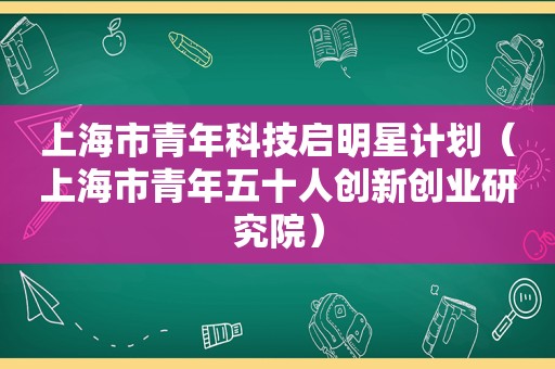 上海市青年科技启明星计划（上海市青年五十人创新创业研究院）