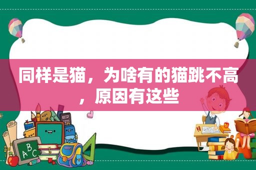 同样是猫，为啥有的猫跳不高，原因有这些