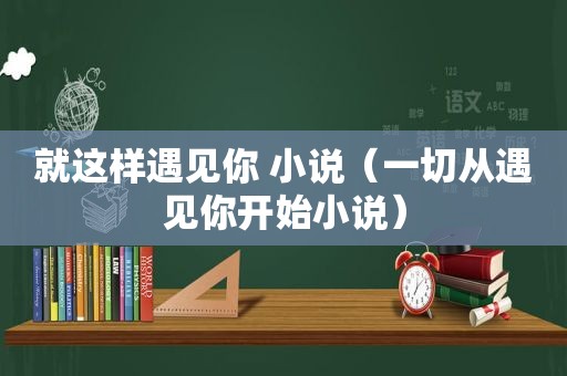 就这样遇见你 小说（一切从遇见你开始小说）