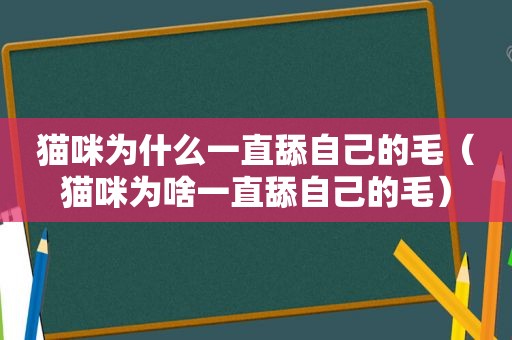 猫咪为什么一直舔自己的毛（猫咪为啥一直舔自己的毛）