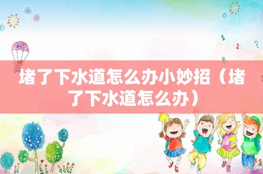 堵了下水道怎么办小妙招（堵了下水道怎么办）