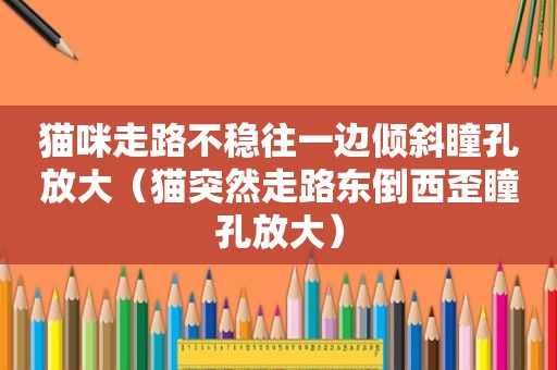 猫咪走路不稳往一边倾斜瞳孔放大（猫突然走路东倒西歪瞳孔放大）