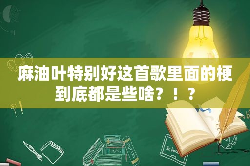 麻油叶特别好这首歌里面的梗到底都是些啥？！?