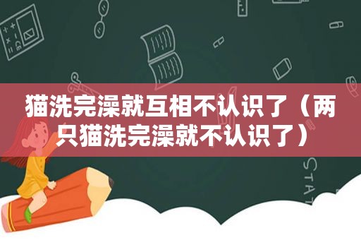 猫洗完澡就互相不认识了（两只猫洗完澡就不认识了）