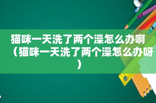 猫咪一天洗了两个澡怎么办啊（猫咪一天洗了两个澡怎么办呀）