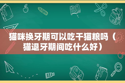 猫咪换牙期可以吃干猫粮吗（猫退牙期间吃什么好）