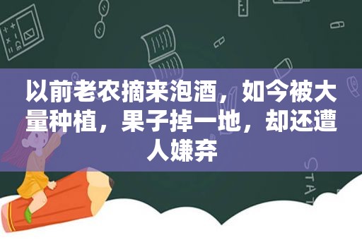 以前老农摘来泡酒，如今被大量种植，果子掉一地，却还遭人嫌弃