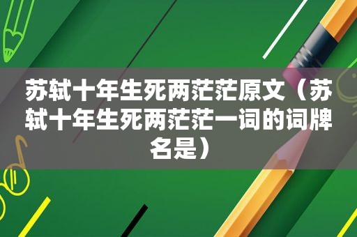 苏轼十年生死两茫茫原文（苏轼十年生死两茫茫一词的词牌名是）