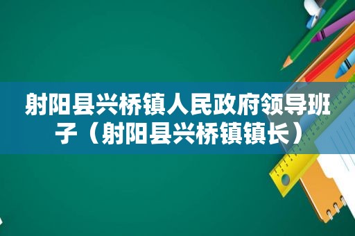 射阳县兴桥镇人民 *** 领导班子（射阳县兴桥镇镇长）