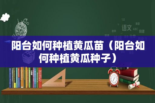 阳台如何种植黄瓜苗（阳台如何种植黄瓜种子）