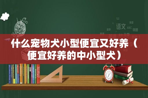 什么宠物犬小型便宜又好养（便宜好养的中小型犬）