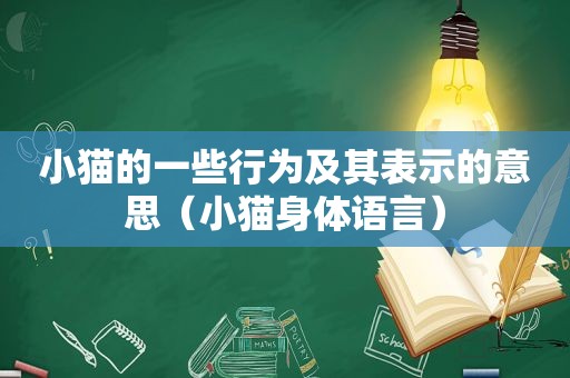 小猫的一些行为及其表示的意思（小猫身体语言）