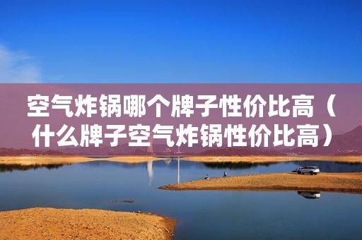 空气炸锅哪个牌子性价比高（什么牌子空气炸锅性价比高）