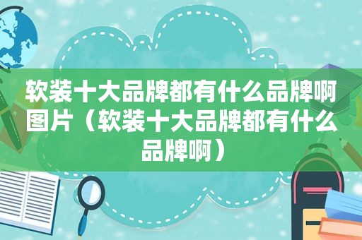 软装十大品牌都有什么品牌啊图片（软装十大品牌都有什么品牌啊）