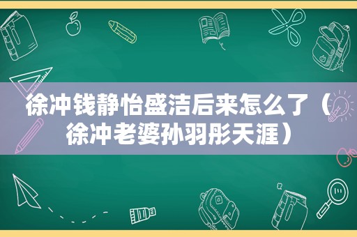 徐冲钱静怡盛洁后来怎么了（徐冲老婆孙羽彤天涯）