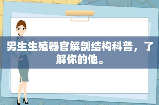 男生生殖器官解剖结构科普，了解你的他。