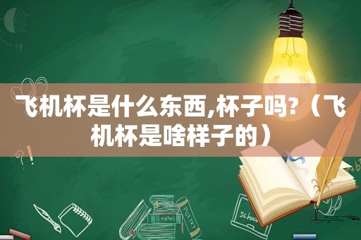 飞机杯是什么东西,杯子吗?（飞机杯是啥样子的）