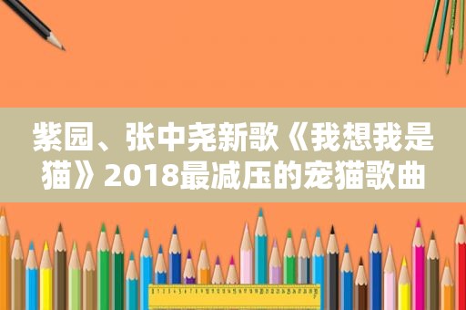 紫园、张中尧新歌《我想我是猫》2018最减压的宠猫歌曲