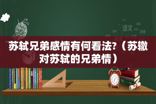 苏轼兄弟感情有何看法?（苏辙对苏轼的兄弟情）