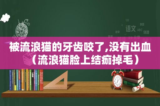 被流浪猫的牙齿咬了,没有出血（流浪猫脸上结痂掉毛）