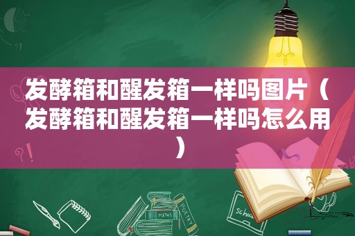 发酵箱和醒发箱一样吗图片（发酵箱和醒发箱一样吗怎么用）