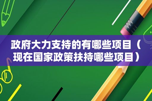  *** 大力支持的有哪些项目（现在国家政策扶持哪些项目）