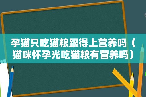 孕猫只吃猫粮跟得上营养吗（猫咪怀孕光吃猫粮有营养吗）