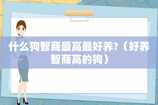 什么狗智商最高最好养?（好养智商高的狗）