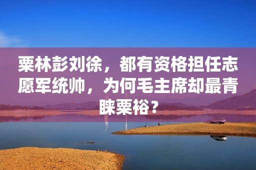 粟林彭刘徐，都有资格担任志愿军统帅，为何毛主席却最青睐粟裕？