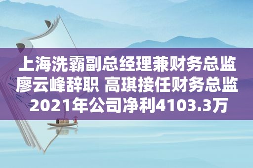 上海洗霸副总经理兼财务总监廖云峰辞职 高琪接任财务总监 2021年公司净利4103.3万