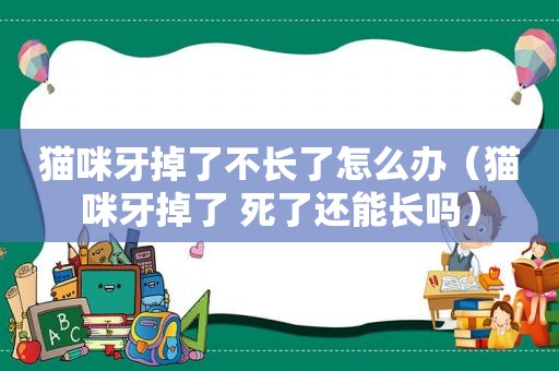 猫咪牙掉了不长了怎么办（猫咪牙掉了 死了还能长吗）