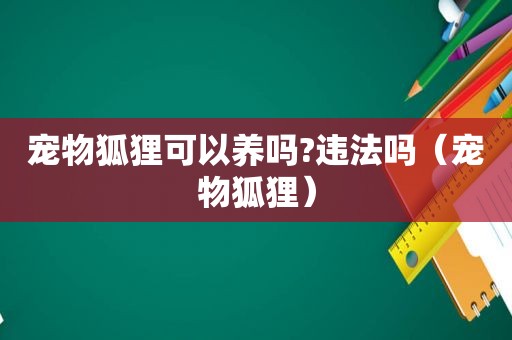 宠物狐狸可以养吗?违法吗（宠物狐狸）