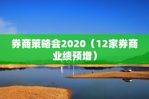 券商策略会2020（12家券商业绩预增）