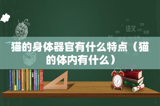 猫的身体器官有什么特点（猫的体内有什么）