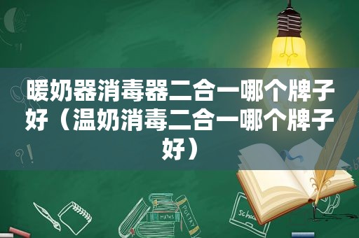 暖奶器消毒器二合一哪个牌子好（温奶消毒二合一哪个牌子好）