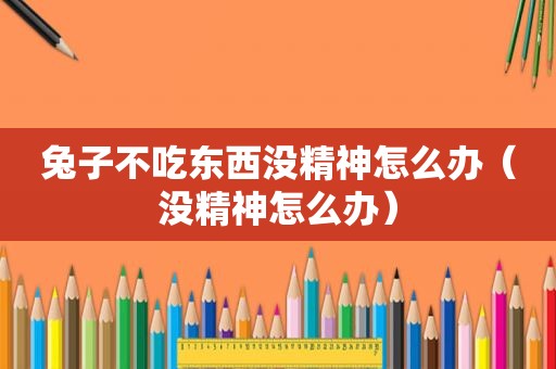 兔子不吃东西没精神怎么办（没精神怎么办）