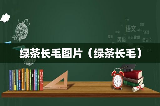 绿茶长毛图片（绿茶长毛）