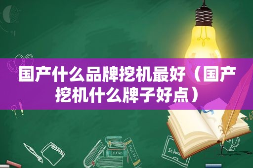 国产什么品牌挖机最好（国产挖机什么牌子好点）