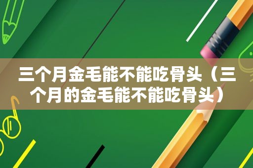 三个月金毛能不能吃骨头（三个月的金毛能不能吃骨头）