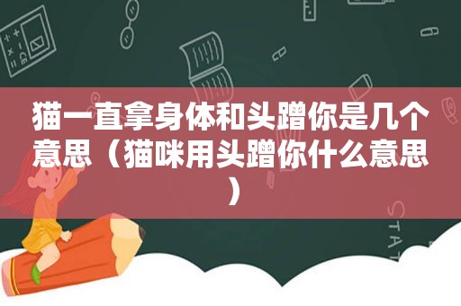 猫一直拿身体和头蹭你是几个意思（猫咪用头蹭你什么意思）