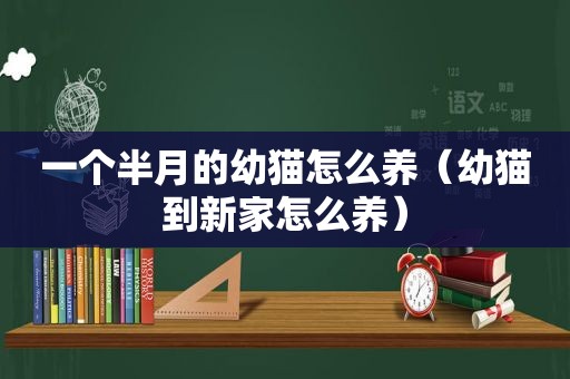 一个半月的幼猫怎么养（幼猫到新家怎么养）