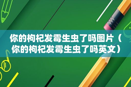 你的枸杞发霉生虫了吗图片（你的枸杞发霉生虫了吗英文）