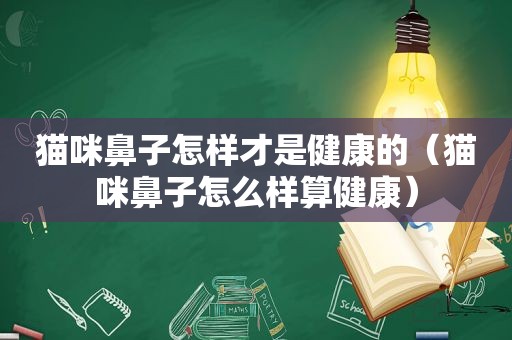 猫咪鼻子怎样才是健康的（猫咪鼻子怎么样算健康）