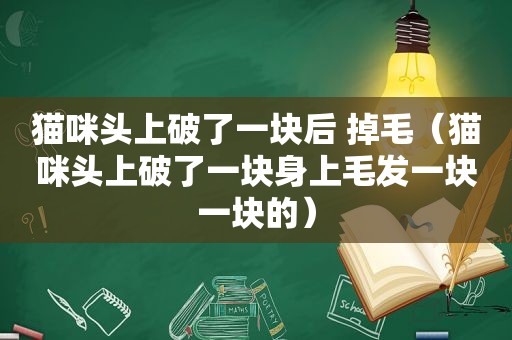 猫咪头上破了一块后 掉毛（猫咪头上破了一块身上毛发一块一块的）